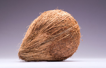 Closeup of a coconut on a isolated white background