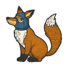 Fox in hat balaclava color sketch engraving vector illustration. Tee shirt apparel print design. Scratch board style imitation. Black and white hand drawn image.