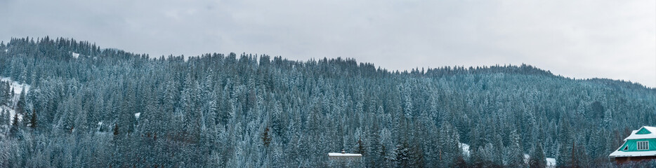 Panoramic view of the Carpathian Mountains in winter. Ukraine