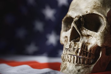 Human skull close up photo