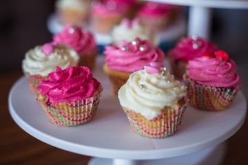 Plate with Cupcakes in the coffee house