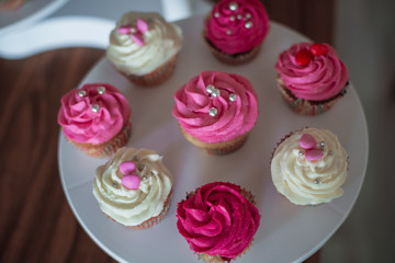 Plate with Cupcakes in the coffee house