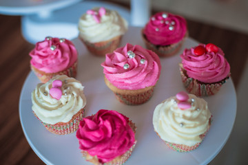 Plate with Cupcakes in the coffee house