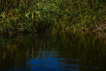 Fototapeta na wymiar reflection in the water