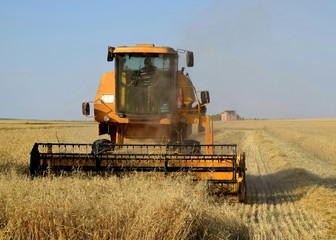 Fototapeta premium tractor working in field
