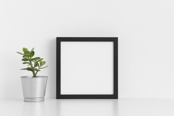 Black square frame mockup with a crassula in a pot on a white table.