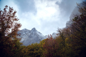 Beautiful colorful curved Autumn Fall in the mountains of Crimea, Ukraine.