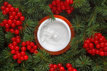 Jar with moisturizing face cream on the background of fir branches, conifers and  berries of viburnum. Top view. Dark concept of natural winter cosmetic for skin care.