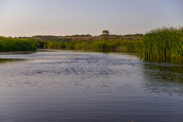 landscape with river