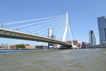 Fototapeta premium Erasmusbridge