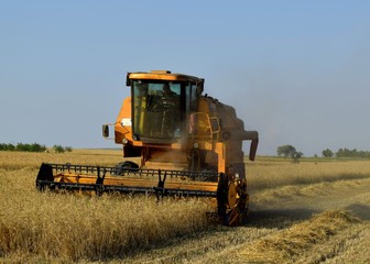 combine harvester working on wheat field