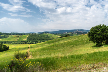 Fototapeta na wymiar Summer landscape in the Chianti region at summer