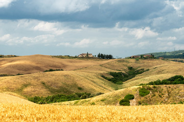 Summer landscape in Tuscany near Volterra