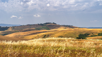 Fototapeta na wymiar Summer landscape in Tuscany near Volterra