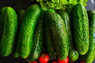 Composition with assorted fresh organic vegetables. Assorted fresh vegetables and fruits. Place for text. Cucumbers, lettuce. Food on a dark table background.