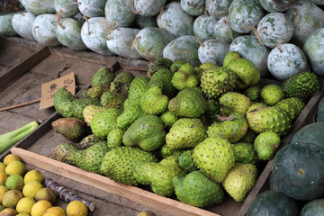 fresh vegetables at the market