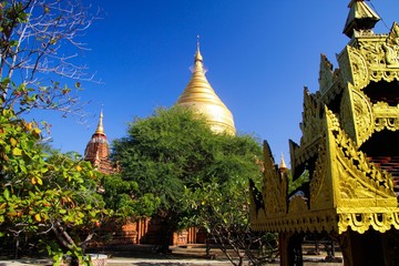 Fototapeta premium View on yard of buddhist temple with trees and golden pagoda - Bagan, Myanmar