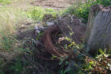 Vergessene Stacheldrahrrolle