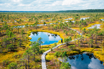 Kemeri National Park Bog trail in Latvia