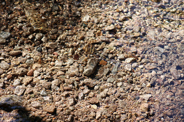 Eau transparente