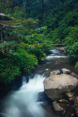 Obraz premium Little river from Coban Rondo Waterfall, Batu, Indonesia