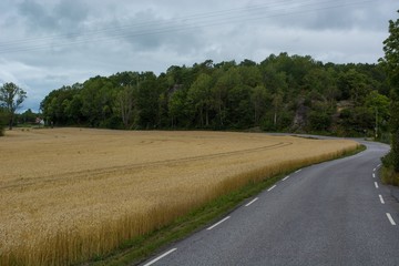 Road and crops in Sandefjord, Norway