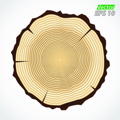 wood rings color vector illustration