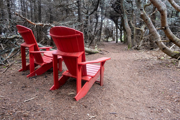 Two Red Adirondack Chairs Under Dead Trees in Gros Morne National Park, Newfoundland
