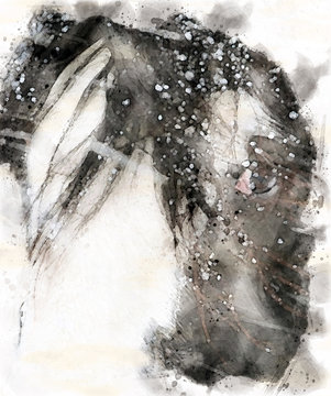watercolor portrait of a horse in a snowstorm