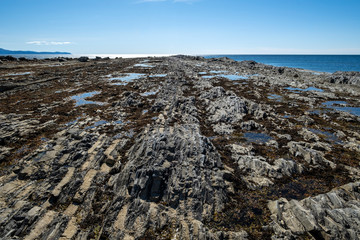 Ocean Floor During Low Tide at Green Point, Gros Morne National Park