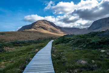 Papier peint photo  Man Hiking in Tablelands, Gros Morne National Park, Newfoundland  © chiyacat