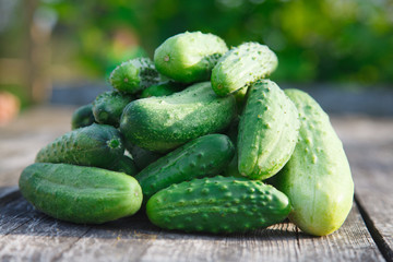 cucumbers on the wooden table