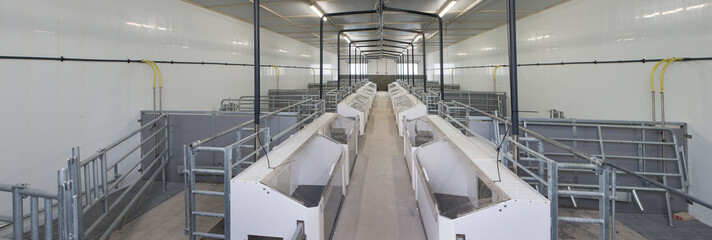 New modern pigstable. Netherlands. Farming.Panorama