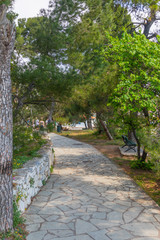Rocky path following down to a dock
