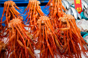 Fototapeta premium Seafood market in Korea