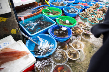 Various seafood at the market in Korea