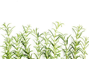 Green branchs and leaves of rosemary isolated on a white background. Мedicinal herbs. Flat lay. Top view