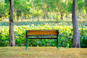 chair sitting on the lawn of the park. On a sunny morning, it looks happy and comfortable
