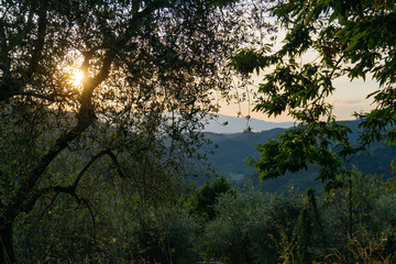 Wonderful panorama of the mountains, trees and sunset in the summer. Apennines, Italy, Tuscany.