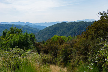 Obraz premium View of the mountains and blue sky in the summer. Apennines, Italy, Tuscany.