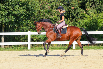 Horse with his young blond horsewoman riding in the riding arena in the sunshine..