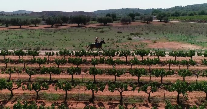 Galopada de caballo jinete vaquero cowboy c&aacute;mara lenta sobre caballo vuelo de dron