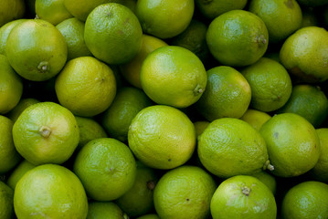 Lime Citrus Fruits, green and yellow, at the local farmer market, Milan, Italy