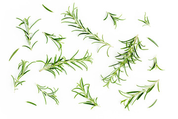 Green branchs and leaves of rosemary isolated on a white background. Мedicinal herbs. Flat lay....