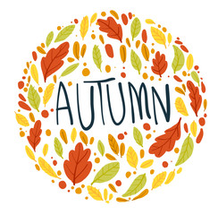 Background autumn An oak leaf on a white background. Vector illustration