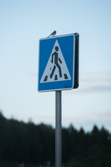 Small bird sitting on 'pedestrian' sign post