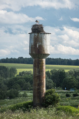 stork's nest on the rusty water tower