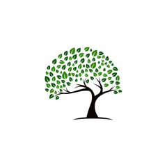 Tree vector icon. logo design elements.