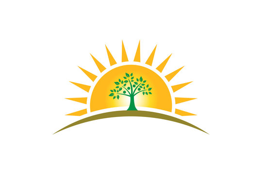 People Tree Family in sunshine logo. Family of four persons tree strong