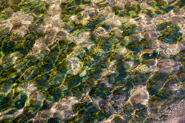 Hot spring sea water and small swamps near Lac Assal (Salt Lake) , 150m below sea level -  Djibouti, East Africa